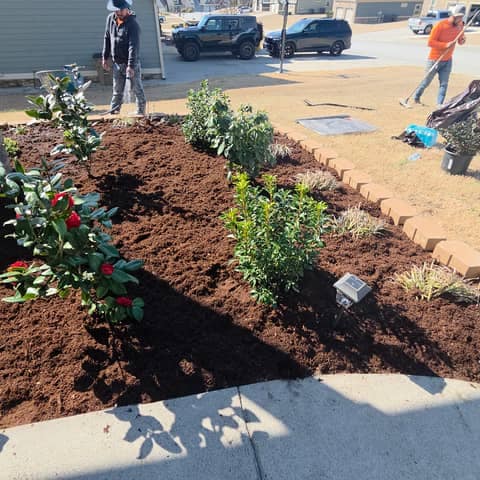 Gardens, Mulch & Tree Removal