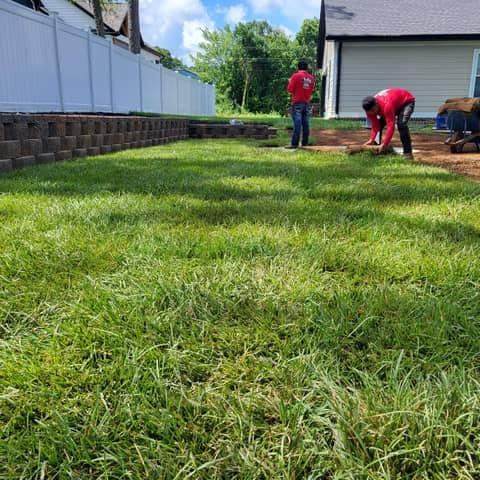 Irrigation & Sod Installation